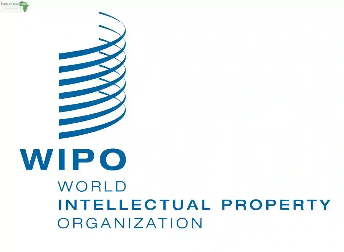 Services Inpi et Wipo Marques0