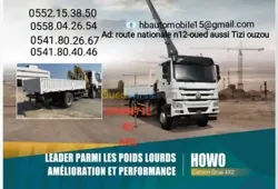 Howo Camion Grue 2024