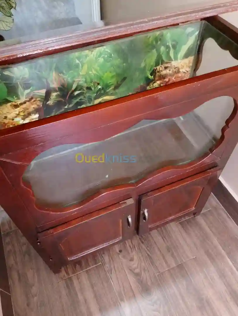 Aquarium Bois Rouge Classique - Vue 1