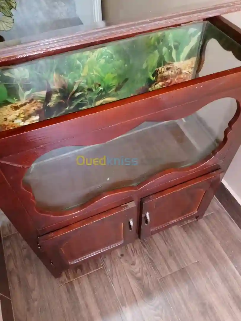 Aquarium Bois Rouge Classique - Vue 5