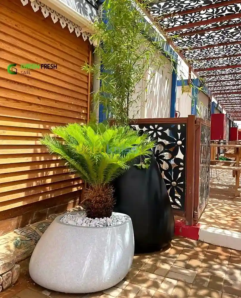 Pots De Fleurs Design Green Fresh - Vue 2
