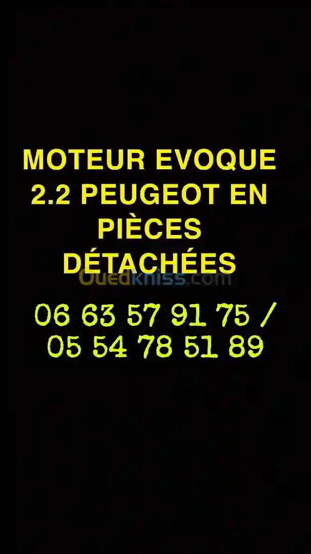 Moteur Evoque 22 Peugeot En Pièces Détachées - Vue 1