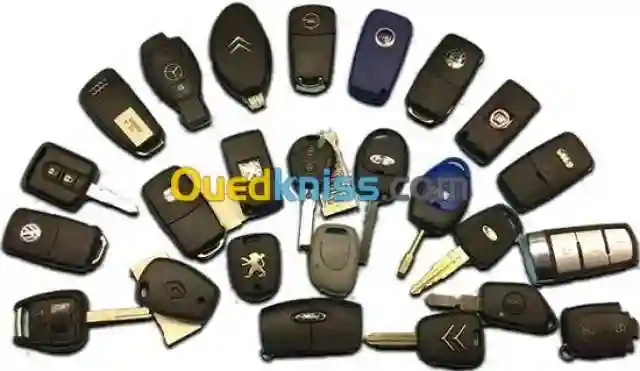 Programmation CLE A Puce Auto - Vue 4