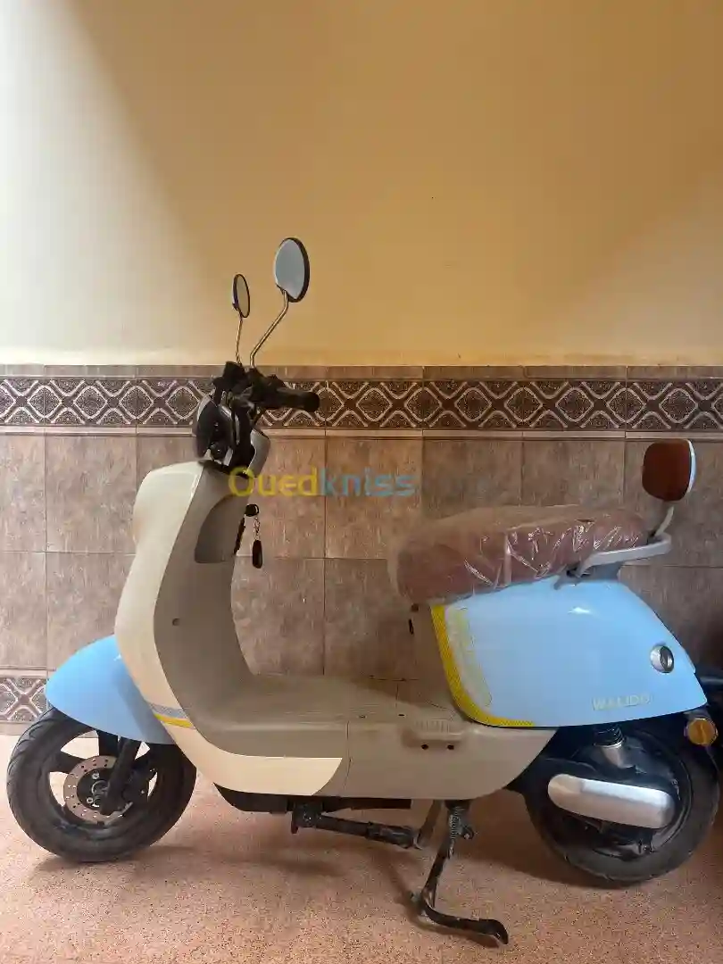 Nui Scooter Électrique 2024 - Vue 4
