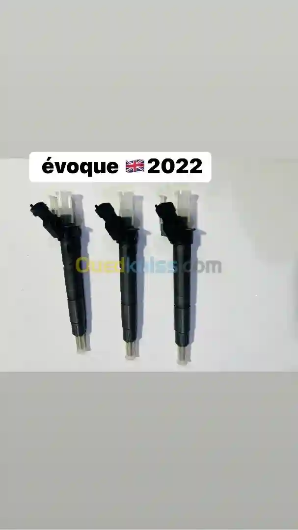 Injecteurs Range Rover - Vue 1