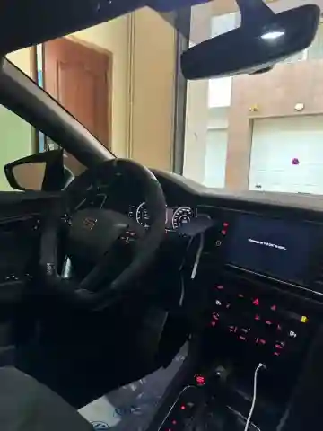 Seat Cupra 2019 Copper - Vue 9