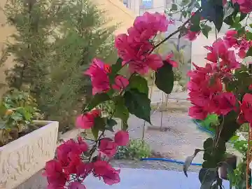 Vente Villa Bordj Bou Arreridj El Achir - Vue 10