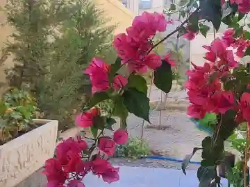 Vente Villa Bordj Bou Arreridj El Achir - Vue 8