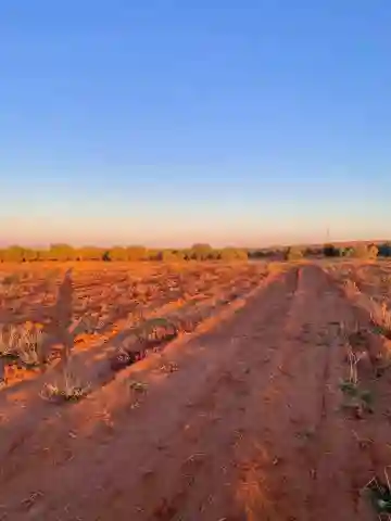 Vente Terrain Agricole Aïn Témouchent Ain Temouchent - Vue 5
