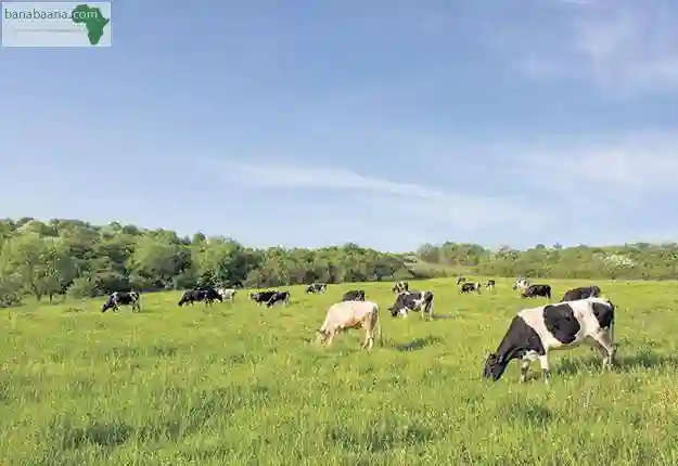 Vente Terrain Agricole - Vue 1