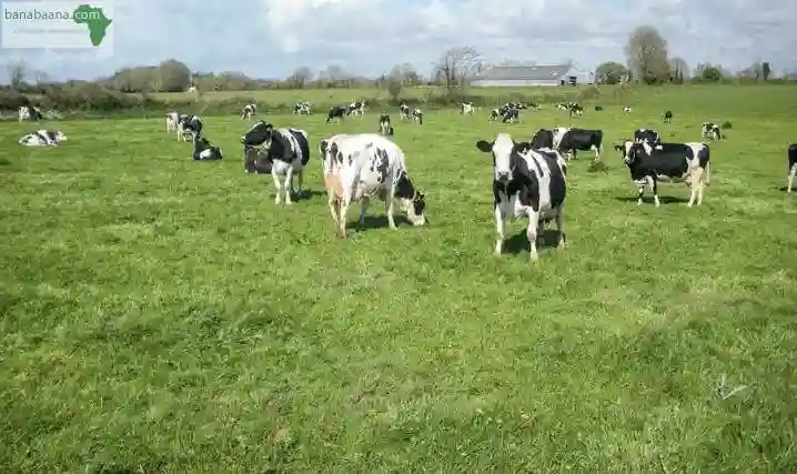 Vente Terrain Agricole - Vue 2