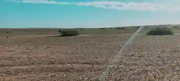 Vente Terrain Agricole Djelfa Birine - Vue 10