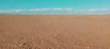 Vente Terrain Agricole Djelfa Birine - Vue 2