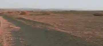 Vente Terrain Agricole Djelfa Birine - Vue 6