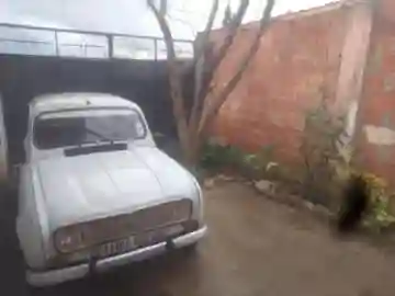 Renault R4 1985 - Vue 12