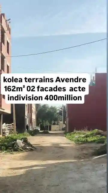 Vente Terrain Tipaza Kolea - Vue 3
