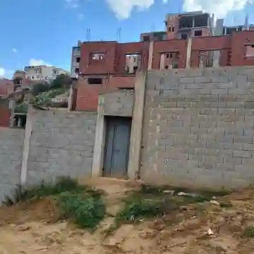 Vente Terrain Tipaza Kolea - Vue 5
