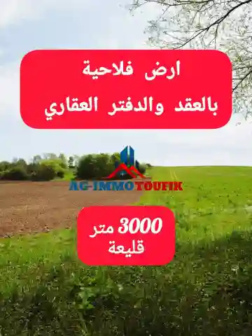 Vente Terrain Agricole Tipaza Kolea - Vue 4