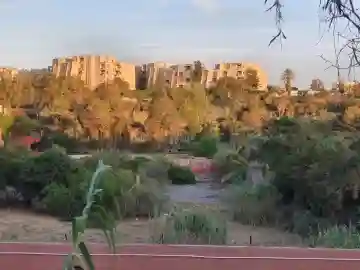 Vente Terrain Alger Cheraga - Vue 1