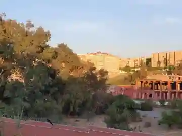 Vente Terrain Alger Cheraga - Vue 3