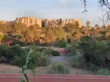 Vente Terrain Alger Cheraga - Vue 9