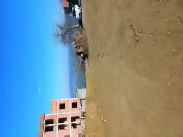Vente Terrain Boumerdès Khemis El Khechna - Vue 2