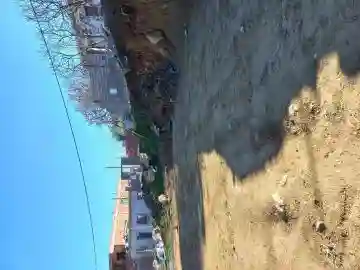 Vente Terrain Boumerdès Khemis El Khechna - Vue 5