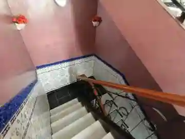 Location Niveau De Villa F6 Oran Oran - Vue 1