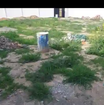 Cherche Location Terrain Boumerdès Ouled Moussa - Vue 1