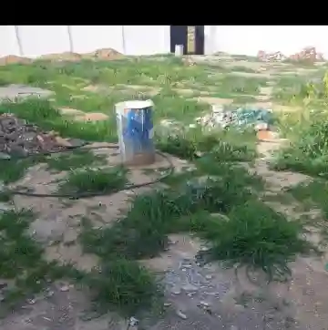 Cherche Location Terrain Boumerdès Ouled Moussa - Vue 4