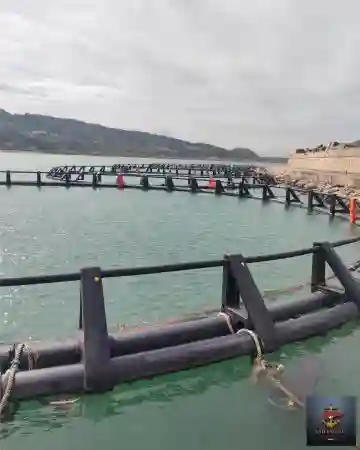 Catamaran Sailing 1500 Aquaculture Ou Plaisance 2025 - Vue 4