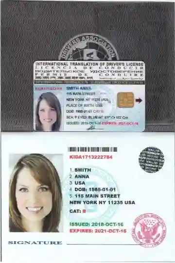 Permis International USA ( 10 Ans )