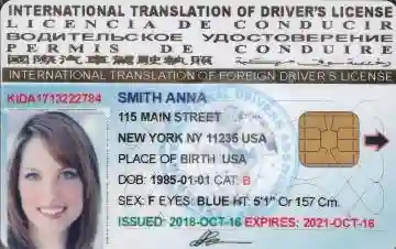 Permis International USA ( 10 Ans ) - Vue 1