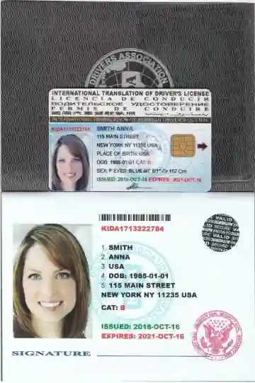 Permis International USA ( 10 Ans ) - Vue 11