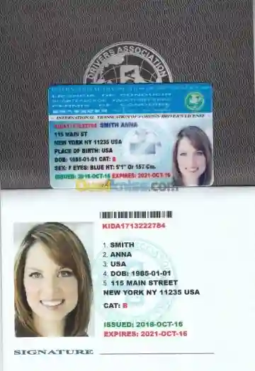 Permis International USA ( 10 Ans ) - Vue 4