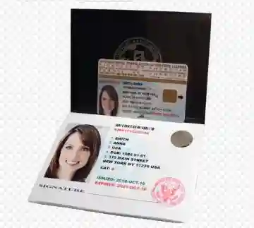 Permis International USA ( 10 Ans ) - Vue 5
