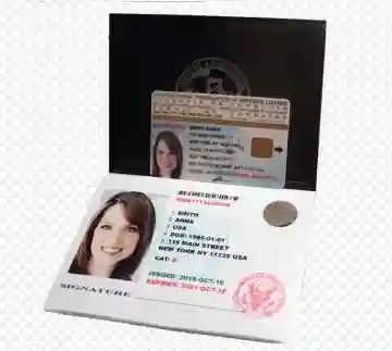 Permis International USA ( 10 Ans ) - Vue 8