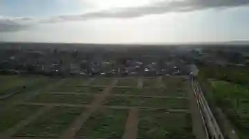 Vente Terrain Blida Boufarik - Vue 15