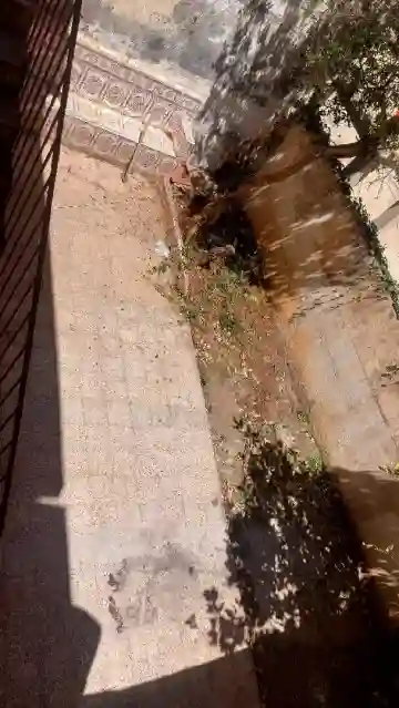Location Villa Alger Hussein Dey - Vue 4