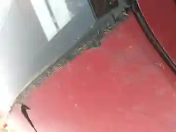Renault Clio 2 1999 - Vue 16