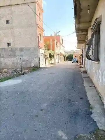 Vente Terrain Blida Chebli - Vue 6