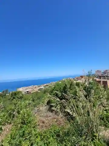 Vente Terrain El Tarf El Kala - Vue 12