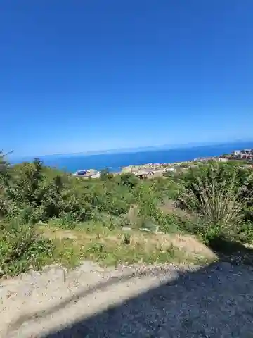 Vente Terrain El Tarf El Kala - Vue 16