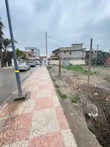 Vente Terrain Alger Ouled Chebel - Vue 7