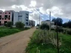 Vente Terrain Alger Souidania