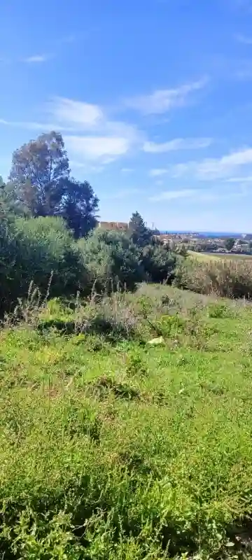 Vente Terrain Alger Souidania - Vue 10