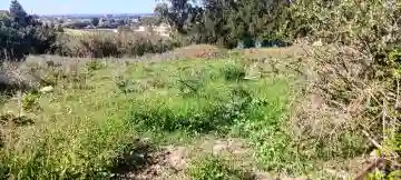 Vente Terrain Alger Souidania - Vue 11