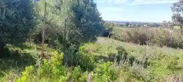 Vente Terrain Alger Souidania - Vue 14