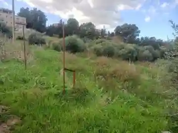 Vente Terrain Alger Souidania - Vue 15