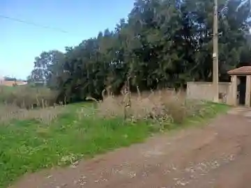 Vente Terrain Alger Souidania - Vue 17